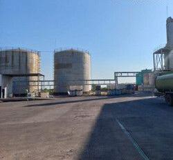 Handsome Glue Indonesia