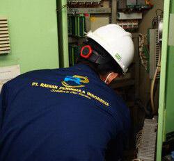 Radian Peninsula Indonesia