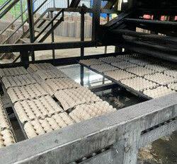 Amanda Permata Kencana