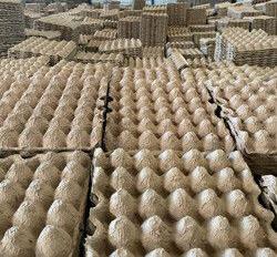 Amanda Permata Kencana