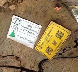 Bogowonto Primalaras