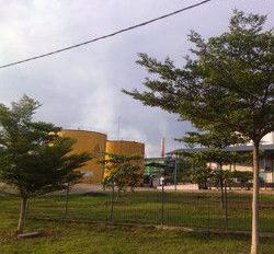 Mustika Agung Sawit Sejahtera