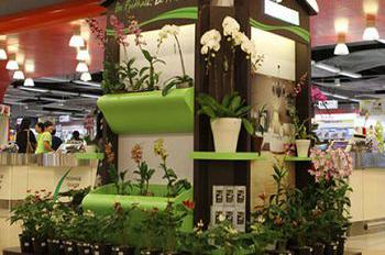 Ekakarya Graha Flora