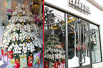 Ekakarya Graha Flora