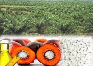 Ajidharma Corporindo