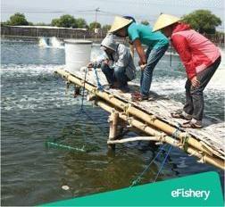 Multidaya Teknologi Nusantara