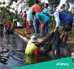 Multidaya Teknologi Nusantara