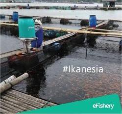 Multidaya Teknologi Nusantara