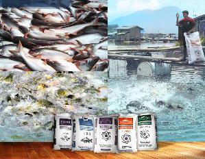 Universal Agri Bisnisindo