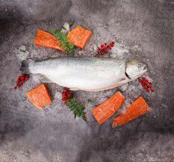 Indosps Bogatama Sukses