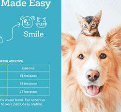 Triadharma Solusi Sejahtera