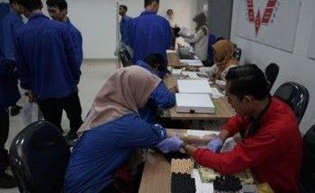 Lzwl Motors Indonesia