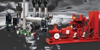 Toyasae Berkah Abadi