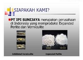 Ipi Sunijaya